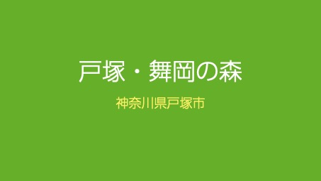 戸塚・舞岡の森