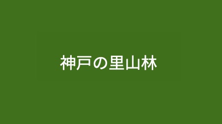 小河山林